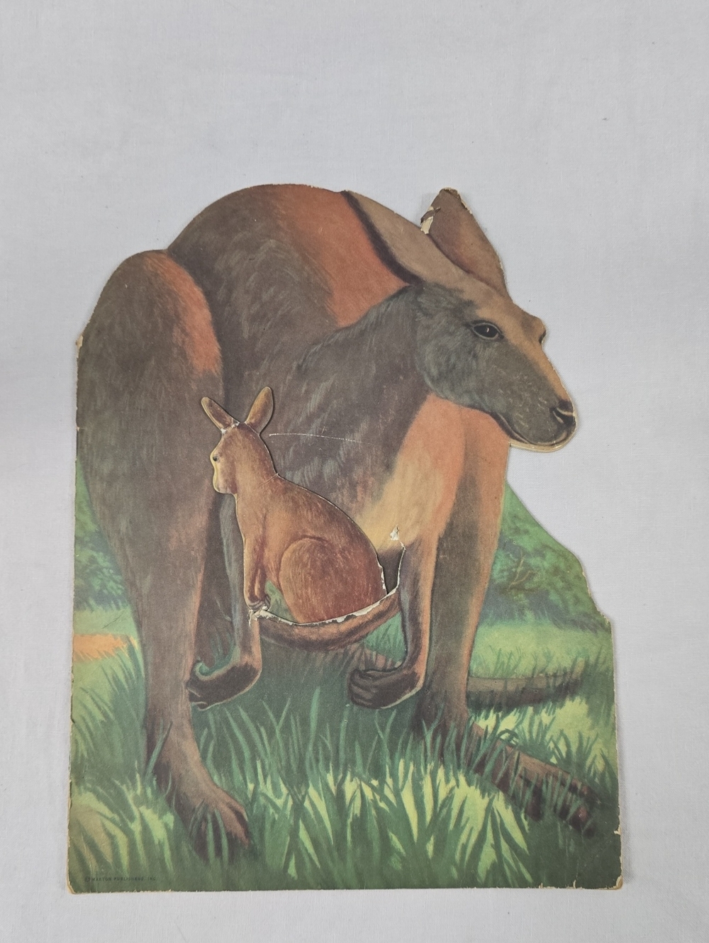 Kankie Kangaroo Book